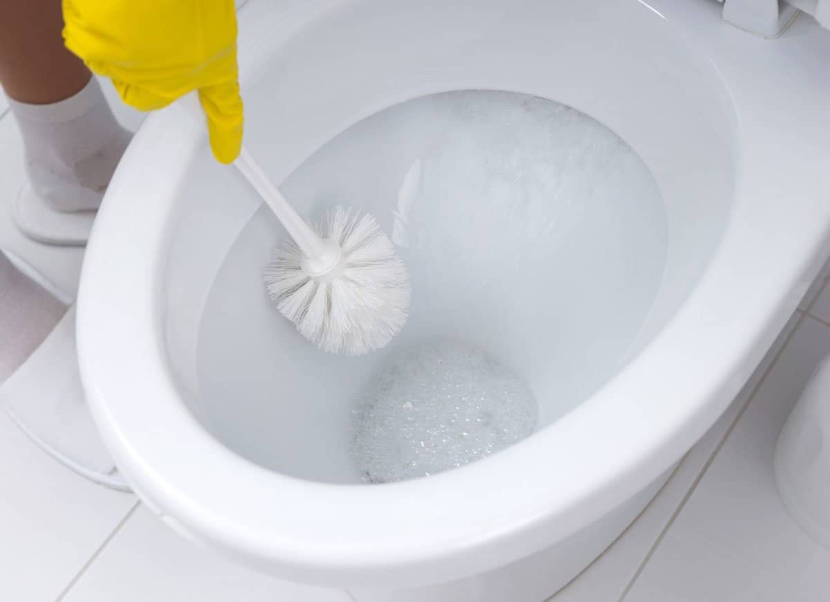 How To Get Rid Of Toilet Odor 6 Easy Ways To Stop That Stench